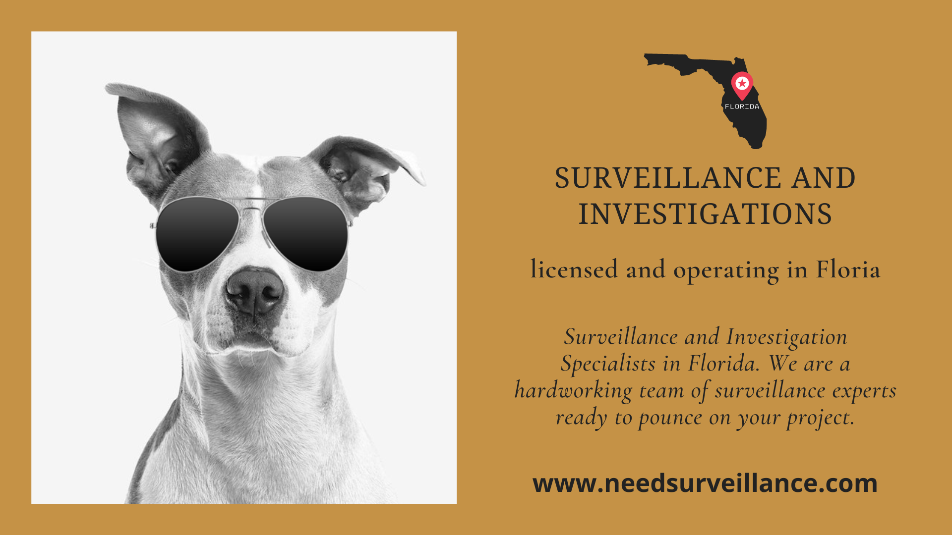 Surveillance and investigations